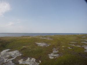 Photograph of Pinchard's Island, Newfoundland — September 5, 2017 at 4:00 PM