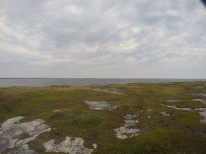 Photograph of Pinchard's Island, Newfoundland — September 5, 2017 at 5:00 PM