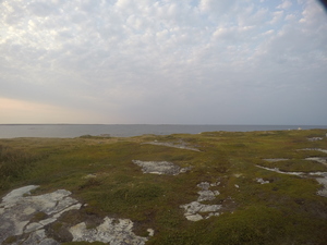 Photograph of Pinchard's Island, Newfoundland — September 5, 2017 at 7:00 PM