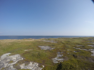 Photograph of Pinchard's Island, Newfoundland — September 6, 2017 at 10:00 AM