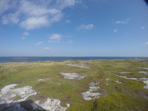Photograph of Pinchard's Island, Newfoundland — September 6, 2017 at 12:00 PM