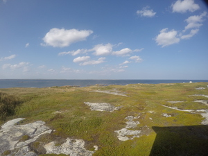 Photograph of Pinchard's Island, Newfoundland — September 6, 2017 at 4:00 PM