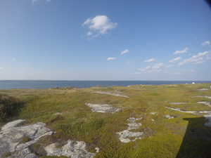 Photograph of Pinchard's Island, Newfoundland — September 6, 2017 at 5:00 PM