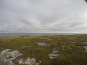 Photograph of Pinchard's Island, Newfoundland — September 7, 2017 at 9:00 AM