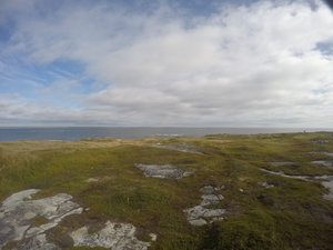 Photograph of Pinchard's Island, Newfoundland — September 7, 2017 at 10:00 AM