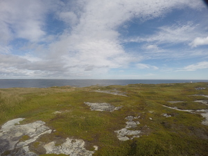 Photograph of Pinchard's Island, Newfoundland — September 7, 2017 at 11:00 AM