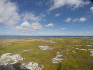 Photograph of Pinchard's Island, Newfoundland — September 7, 2017 at 12:00 PM