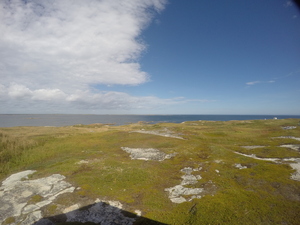 Photograph of Pinchard's Island, Newfoundland — September 7, 2017 at 1:00 PM
