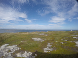 Photograph of Pinchard's Island, Newfoundland — September 7, 2017 at 2:00 PM