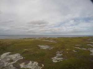 Photograph of Pinchard's Island, Newfoundland — September 7, 2017 at 4:00 PM