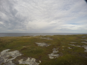 Photograph of Pinchard's Island, Newfoundland — September 7, 2017 at 5:00 PM