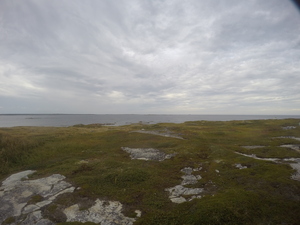 Photograph of Pinchard's Island, Newfoundland — September 7, 2017 at 6:00 PM