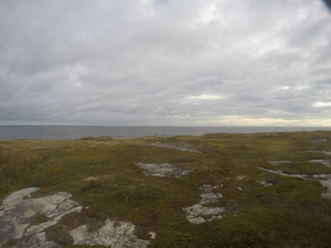 Photograph of Pinchard's Island, Newfoundland — September 8, 2017 at 8:00 AM