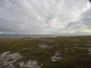 Photograph of Pinchard's Island, Newfoundland — September 8, 2017 at 9:00 AM