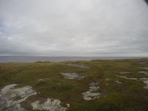 Photograph of Pinchard's Island, Newfoundland — September 8, 2017 at 10:00 AM