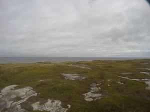 Photograph of Pinchard's Island, Newfoundland — September 8, 2017 at 11:00 AM