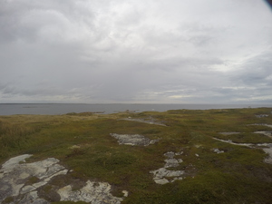 Photograph of Pinchard's Island, Newfoundland — September 8, 2017 at 1:00 PM