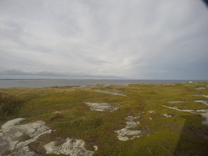 Photograph of Pinchard's Island, Newfoundland — September 8, 2017 at 5:00 PM