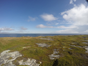 Photograph of Pinchard's Island, Newfoundland — September 9, 2017 at 10:00 AM