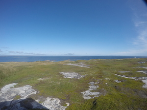 Photograph of Pinchard's Island, Newfoundland — September 9, 2017 at 12:00 PM