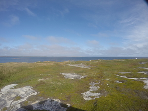 Photograph of Pinchard's Island, Newfoundland — September 9, 2017 at 1:00 PM