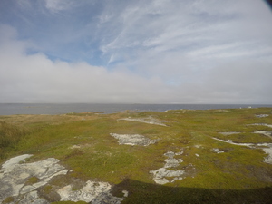 Photograph of Pinchard's Island, Newfoundland — September 9, 2017 at 2:00 PM