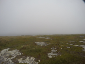 Photograph of Pinchard's Island, Newfoundland — September 9, 2017 at 3:00 PM