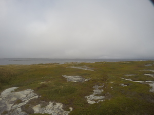 Photograph of Pinchard's Island, Newfoundland — September 9, 2017 at 4:00 PM