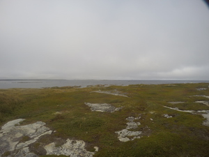 Photograph of Pinchard's Island, Newfoundland — September 9, 2017 at 5:00 PM