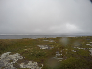 Photograph of Pinchard's Island, Newfoundland — September 10, 2017 at 9:00 AM