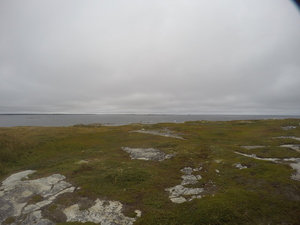 Photograph of Pinchard's Island, Newfoundland — September 10, 2017 at 12:00 PM