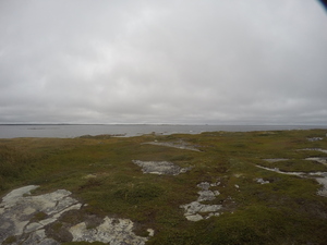 Photograph of Pinchard's Island, Newfoundland — September 10, 2017 at 2:00 PM
