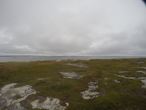 Photograph of Pinchard's Island, Newfoundland — September 10, 2017 at 4:00 PM
