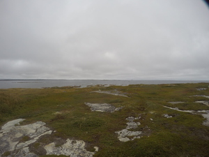 Photograph of Pinchard's Island, Newfoundland — September 10, 2017 at 5:00 PM
