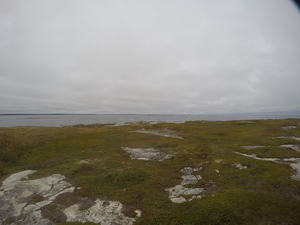Photograph of Pinchard's Island, Newfoundland — September 10, 2017 at 6:00 PM