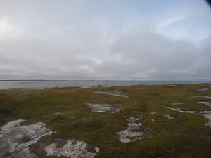 Photograph of Pinchard's Island, Newfoundland — September 10, 2017 at 7:00 PM