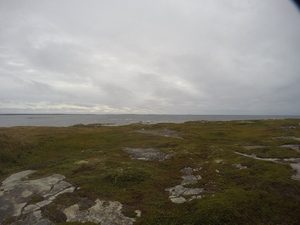 Photograph of Pinchard's Island, Newfoundland — September 11, 2017 at 8:00 AM