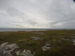 Photograph of Pinchard's Island, Newfoundland — September 11, 2017 at 9:00 AM