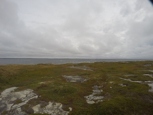 Photograph of Pinchard's Island, Newfoundland — September 11, 2017 at 10:00 AM