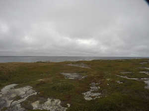 Photograph of Pinchard's Island, Newfoundland — September 11, 2017 at 11:00 AM