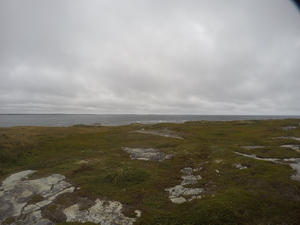 Photograph of Pinchard's Island, Newfoundland — September 11, 2017 at 12:00 PM