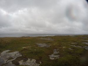 Photograph of Pinchard's Island, Newfoundland — September 11, 2017 at 1:00 PM