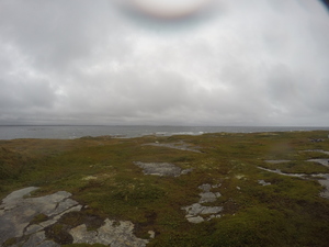 Photograph of Pinchard's Island, Newfoundland — September 11, 2017 at 3:00 PM