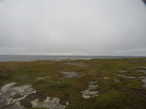 Photograph of Pinchard's Island, Newfoundland — September 11, 2017 at 5:00 PM