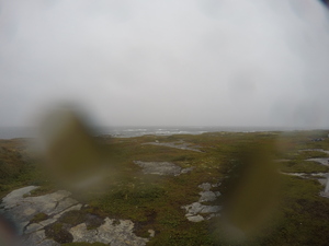 Photograph of Pinchard's Island, Newfoundland — September 12, 2017 at 10:00 AM