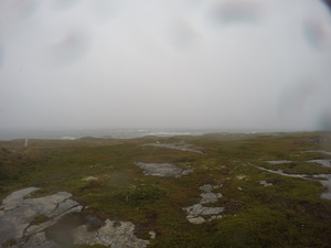Photograph of Pinchard's Island, Newfoundland — September 12, 2017 at 11:00 AM
