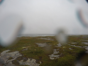 Photograph of Pinchard's Island, Newfoundland — September 12, 2017 at 1:59 PM