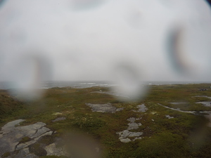 Photograph of Pinchard's Island, Newfoundland — September 12, 2017 at 2:59 PM