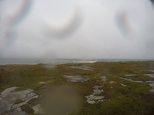 Photograph of Pinchard's Island, Newfoundland — September 12, 2017 at 3:45 PM