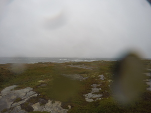 Photograph of Pinchard's Island, Newfoundland — September 12, 2017 at 3:59 PM